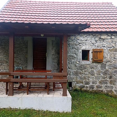 Kamena Kuca- Stone House Scepanovic Bijela Villa Savnik Bagian luar foto